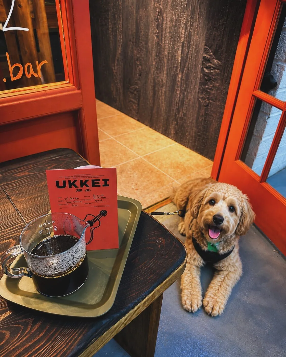 A pour-over coffee served on a tray, with a dog waiting patiently